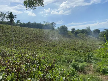 Tôi cần bán lô đất nghỉ dưỡng tại khánh thượng, ba vì. đất sườn đồi view 4 phía, thoải đều cực đẹp