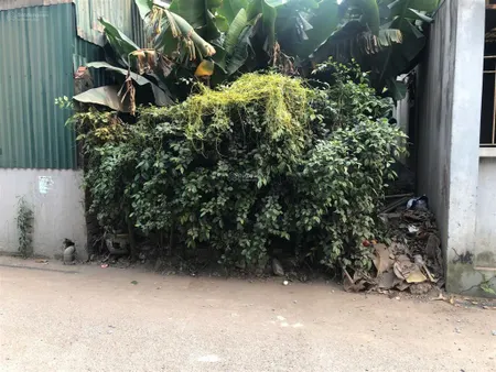 Đường ô tô tránh, lá phổi xanh của thanh trì( yên mỹ) bán đất 60m*4,1m, đường thông, nhỉnh 7 tỉ.