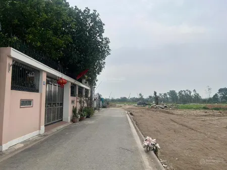 Bán 80m² đất mặt đường 8m đám mạ, thiên lộc, đông anh gần nội bài 11,45 tỷ