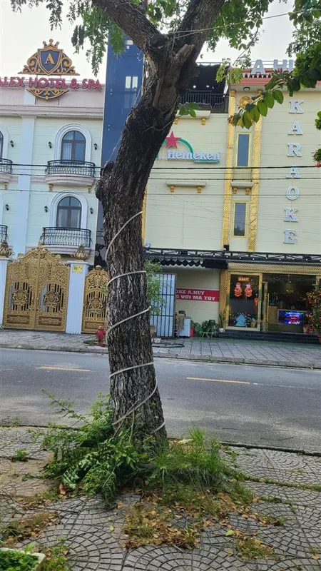 Bán bán khách sạn trảng kèo 21 phòng hội an
