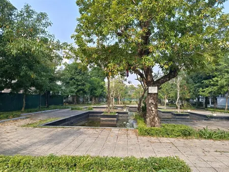 Cần bán nhanh căn lk xẻ khe 96m2 mặt sau lê quang đạo kéo dài tại louis city. 0988 832 ***