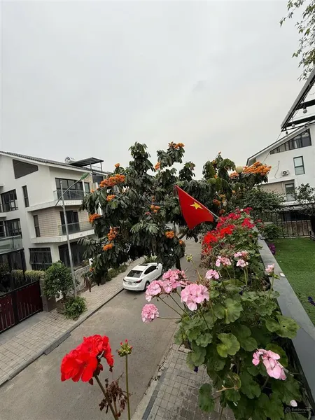 Biệt thự dương nội 180m mặt tiền 9m đẳng cấp sống & đầu tư. 3x tỷ.