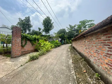 Cách hn 60km ba vì 625m cả nhà và đất giá đầu tư