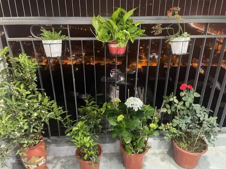 Căn hộ cc 2pn full nội thất ở green park trần thủ độ, 4,9 tỷ, 57m2