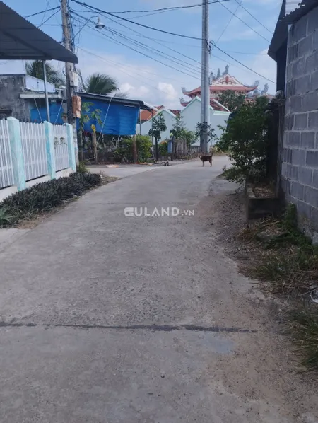 ĐẤT PHƯỜNG NINH GIANG CHỦ NỢ NGÂN HÀNG CẦN TIỀN GẤP TRẢ NỢ