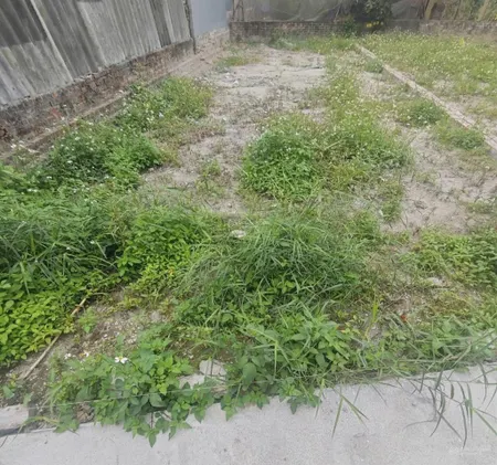 Bán mảnh đất thôn 3 vạn phúc ( trong đê ) 85m2, ô tô vào đất, giá đầu tư, sổ đỏ chuẩn pháp lý