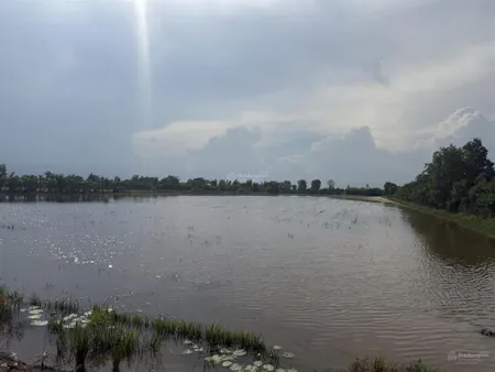 Bán đất 20,000m2, giá 33 tỷ tại xã thủy đông, huyện thạnh hóa, long an