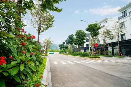 Bán shophouse apec diamond park mặt đường quốc lộ 1a lạng sơn 0904 821 ***