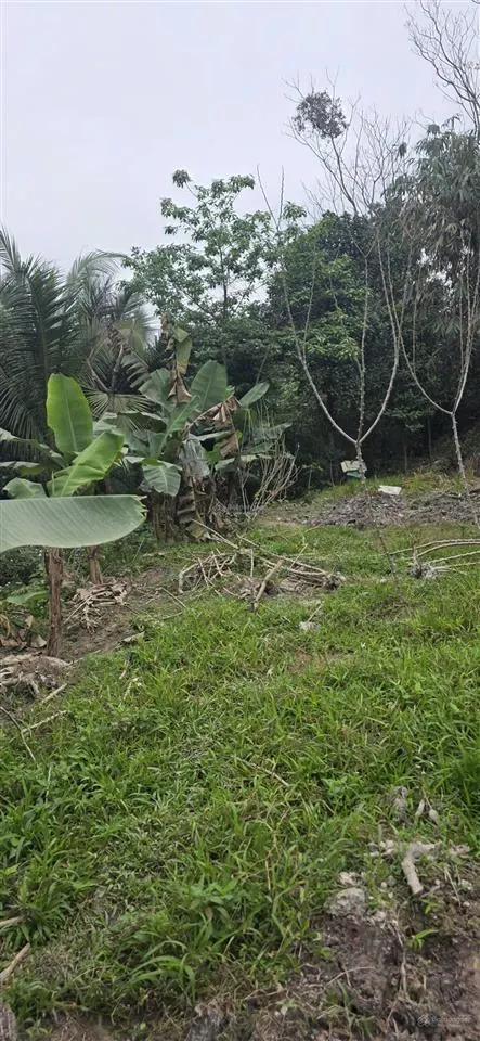 Mở bán lô đất cách trung tâm hà nội chỉ 16km