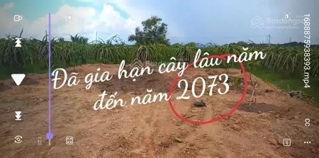 Đất thổ vườn hàm kiệm 1.023 m2