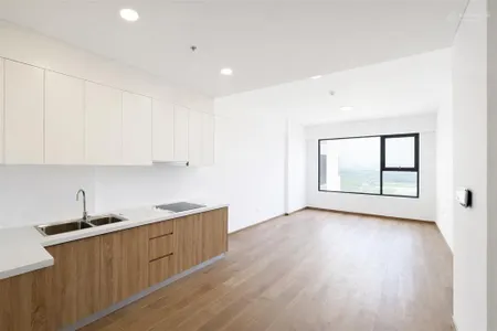 Bán cc mizuki park, 2pn1wc 3,78 tỷ, 56m2, phân khu mp7