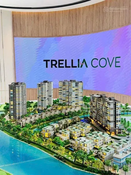 Tc2 trellia cove có chương trình tặng 2 chỉ vàng khai xuân thời gian áp dụng đến 4/3/2026