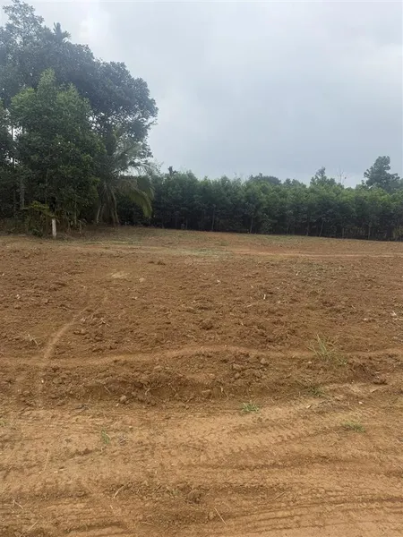 Bán đất tại đường hồ chí minh ngọc lặc thanh hoá , 270 triệu, 89m2, pháp lý đầy đủ