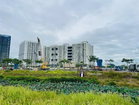 Căn shophouse duy nhất khu fpt hướng đông giá chỉ bằng 1 lô đất nền
