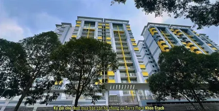 Chung cư terra flora, căn hộ tại nhơn trạch, đã có sổ riêng cần bán giá rất tốt cơ hội đầu tư