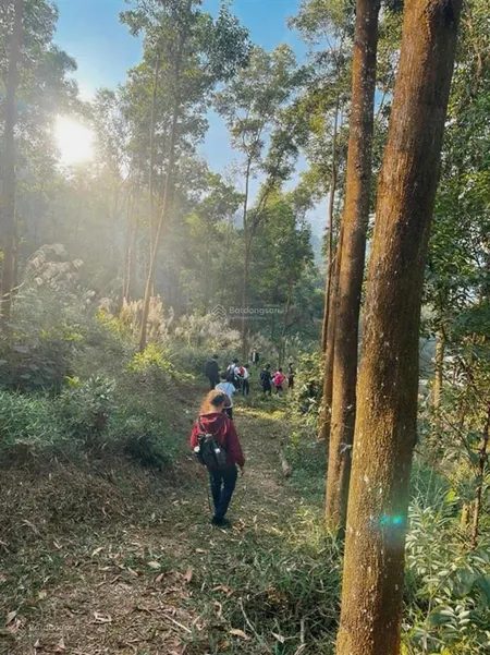Duy nhất căn ngoại giao biệt thự 3 mặt tiền siêu đẹp tại thanh xuân valley giá 26 tỷ hơn 500m2