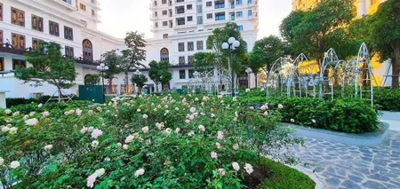 Quỹ căn hộ 23pn tại dự án iris garden giá tốt nhất thị trường, sẵn sổ, nội thất full. em diệu a