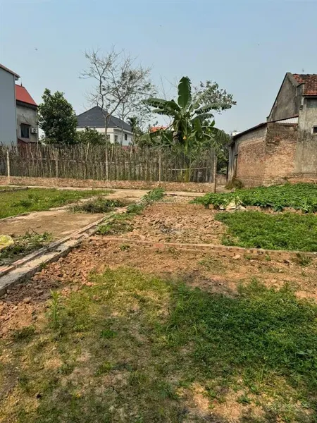Tôi cần bán đất 40m trạch lôi phúc thọ hà nội