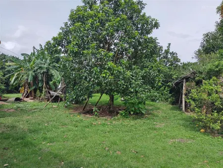 Đất vườn diện tích 1000m2 giá 650 triệu bàu trâm, long khánh