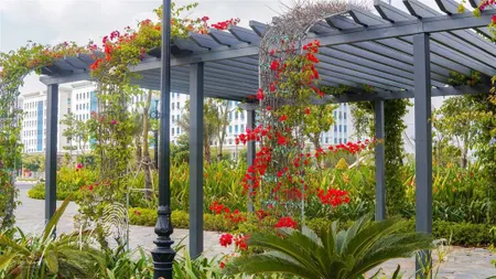 Nhà sổ riêng 84m2, 1 trệt 3 lầu . mặt tiền 17m, giá 8,5ty. nhận nhà ở ngay. 0932 238 ***