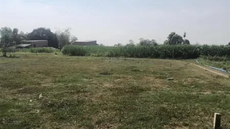 Cần bán đất tân mỹ đức hòa, long an