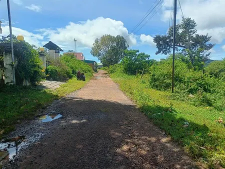Đất biệt thự view rừng thông, đường măng lin, đà lạt. dt 200m2, đường ô tô. cách hxh 8km.giá 3.6 tỷ