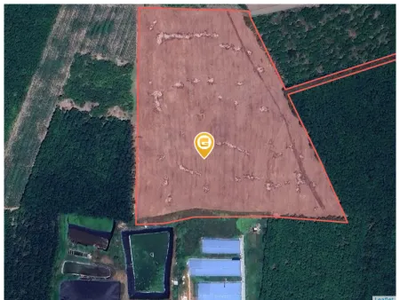 Bán đất 300m² có sẵn 50m² thổ cư ngang 5m giá 350 triệu tại Xã Nha Bích