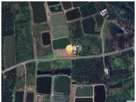 Bán đất 784m² ngang 28m giá 3 tỷ tại Xã Tân Tập