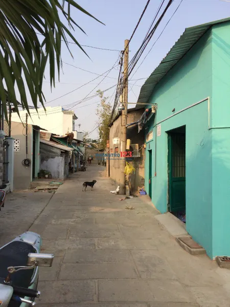 Phòng trọ mới, sạch sẽ và thoáng mát - 410/15/5 Đường Nguyễn Văn Tạo, Xã Long Thới, Huyện Nhà Bè
