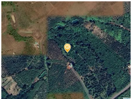 Bán đất 17.000m² giá 3.3 tỷ tại Xã Quảng Trực