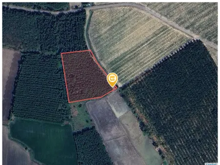 Bán đất 10000m² ngang 20m giá 680 triệu tại Xã Phước Vinh