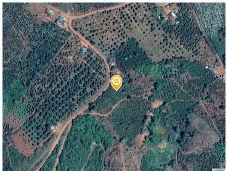Bán đất 21.000m² ngang 110m giá 5.25 tỷ tại Xã Quảng Khê