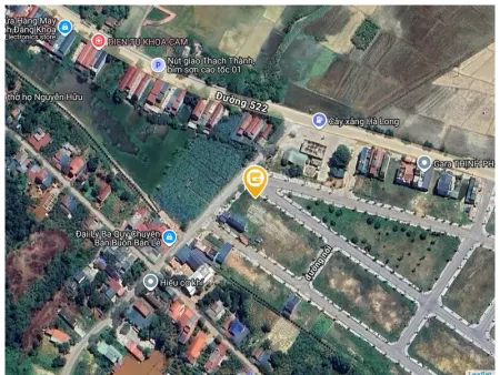 Hàng hiếm khu đấu giá
