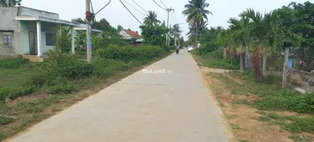 11x25 full thổ 2.3