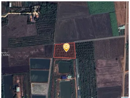 Bán đất 3835.2m² ngang 70m giá 1.6 tỷ tại Xã Châu Thành