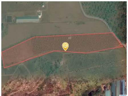 Bán đất 30000m² ngang 50m giá 8.2 tỷ tại Xã Ea Nuôl
