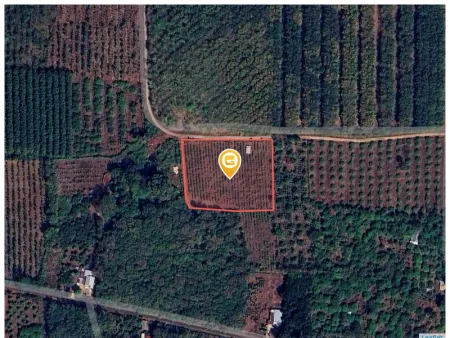 Bán đất 6350m² có sẵn 100m² thổ cư ngang 93m giá 1.8 tỷ tại Xã Lộc Tấn