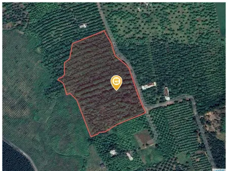 Bán đất 24800m² ngang 200m giá 4.7 tỷ tại Xã Xuân Hòa