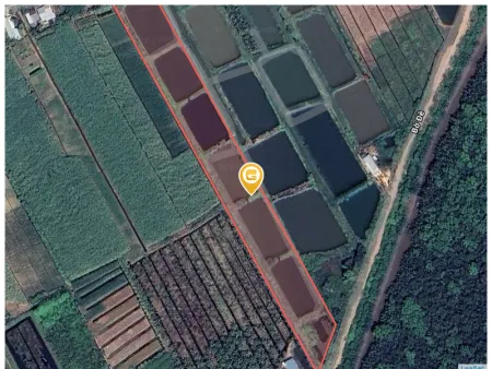 Bán đất 2 mặt tiền đường 17816m² ngang 72m giá 380 triệu tại Xã Cù Lao Dung