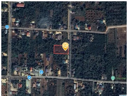 Bán đất 1568m² có sẵn 120m² thổ cư ngang 30m giá 7.2 tỷ tại Phường Tân Lập