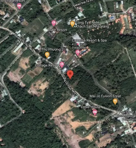 Bán  đất thương mại dịch vụ 2001m² , giá 24 tỷ tại đường Ông Lang, Xã Cửa Dương, Thành phố Phú Quốc, Kiên Giang