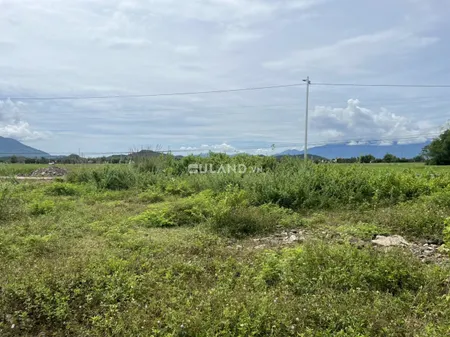 7 8x25 full thổ 920 tr