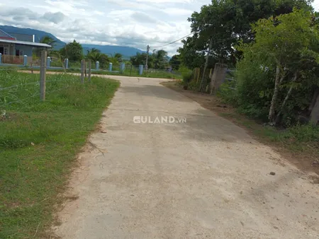 Nhà 9.7x54 502 400 Thổ Lh 8