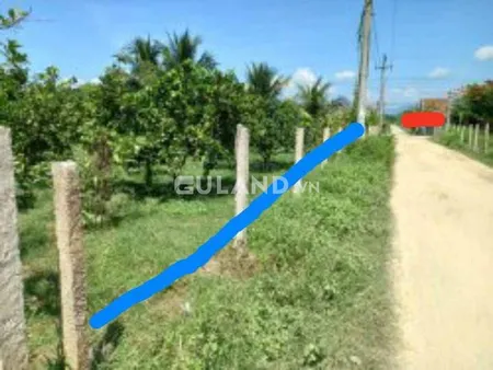 Bán đất thổ cư có vườn bưởi, sắp làm đường bê tông 10m, thuộc khu bàn cờ Ninh Thượng