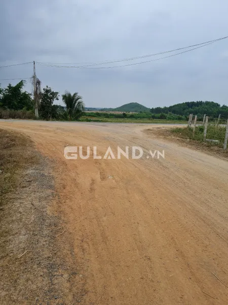 Buôn lác, Ninh Tây 10609m2
