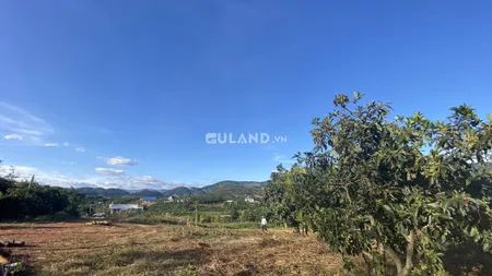 siêu sale cực sốc