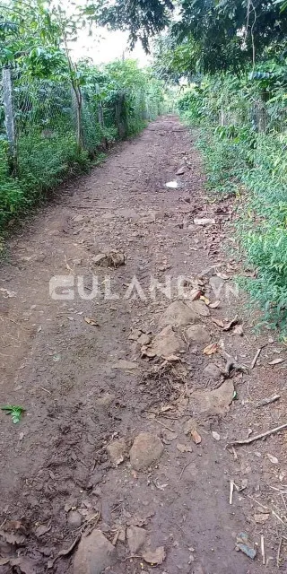 [600tr]ngang 97m - dài 47m
