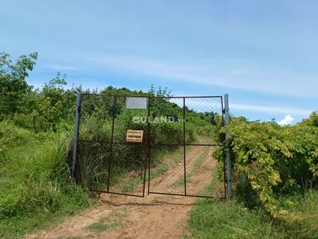 Tân Sơn Ninh xuân dt 2683,6m2