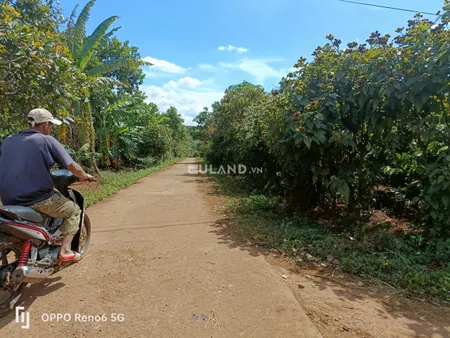 [1.660 tỷ] 83 × 27 tại xã Ea Tar