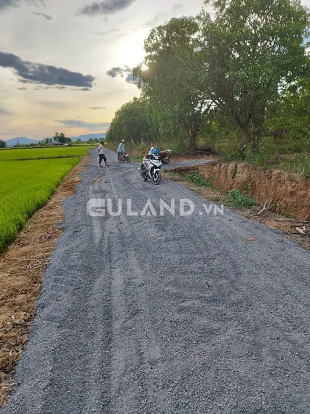 Gần 2ha5 đất sơn lộc ninh an qh thổ
